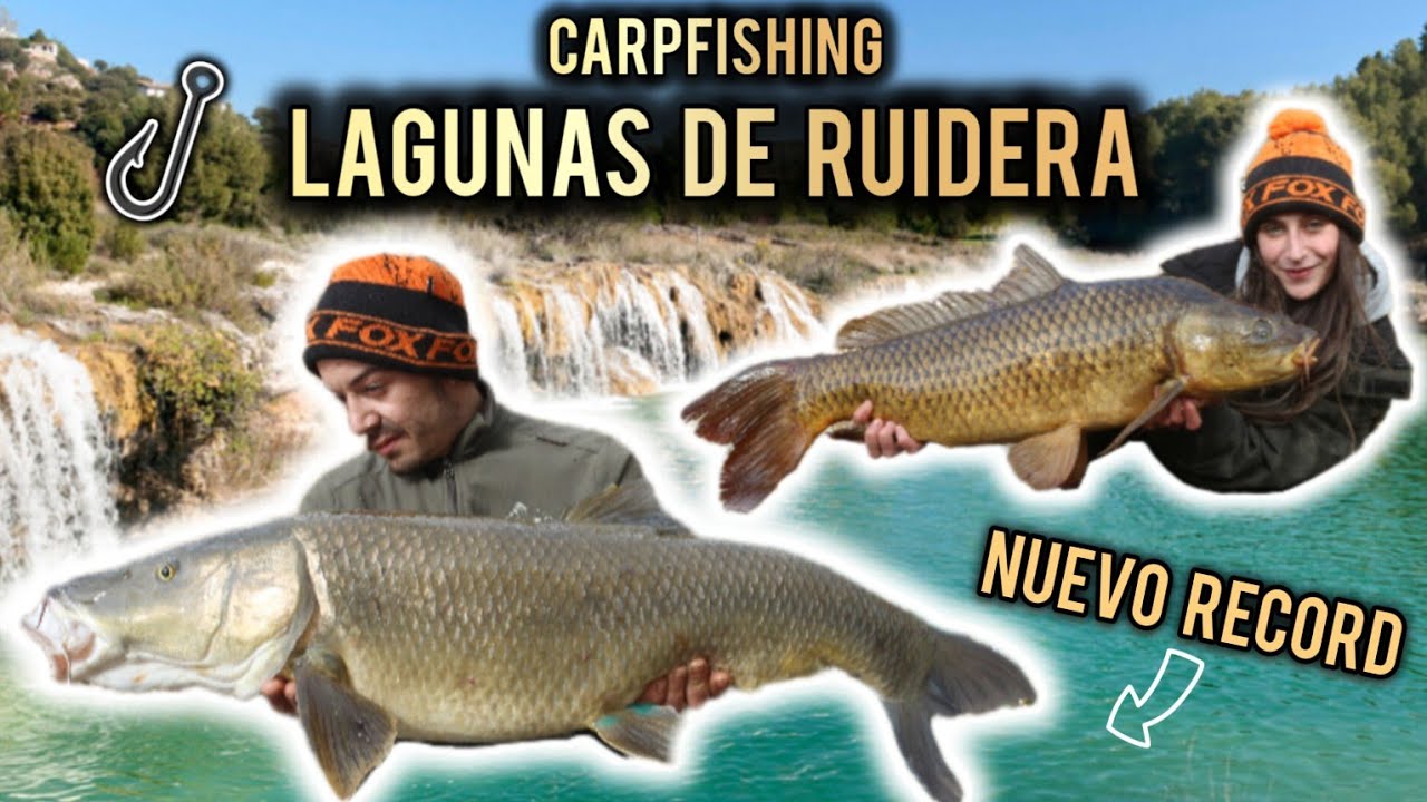 CARPFISHING LAGUNAS DE RUIDERA  Récord de Barbo Comizo