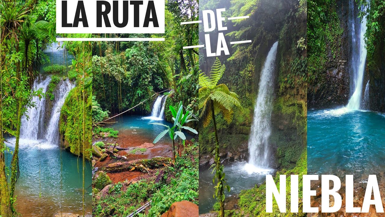 🐼Bosques de bambú y El Breñal en el Pueblo mágico de Teziutlán en el Estado de Puebla💦