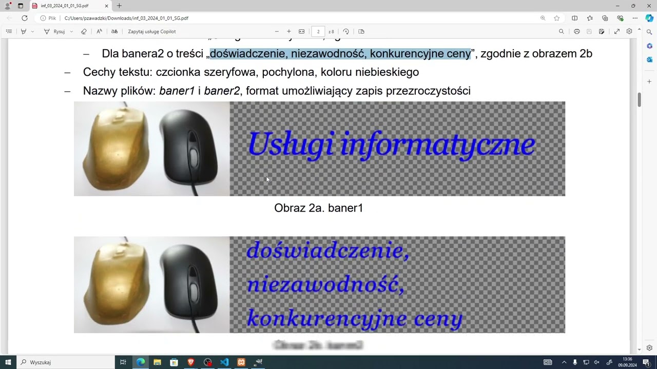 Arkusz INF.03-01-24.01-SG