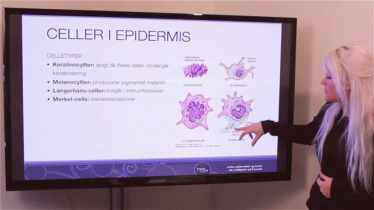 Innowell e-learning: Hudens opbygning