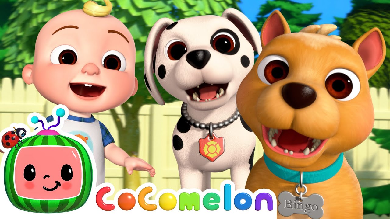 BINGO Puppy Play Date! | CoComelon Nursery Rhymes & Kids Songs
