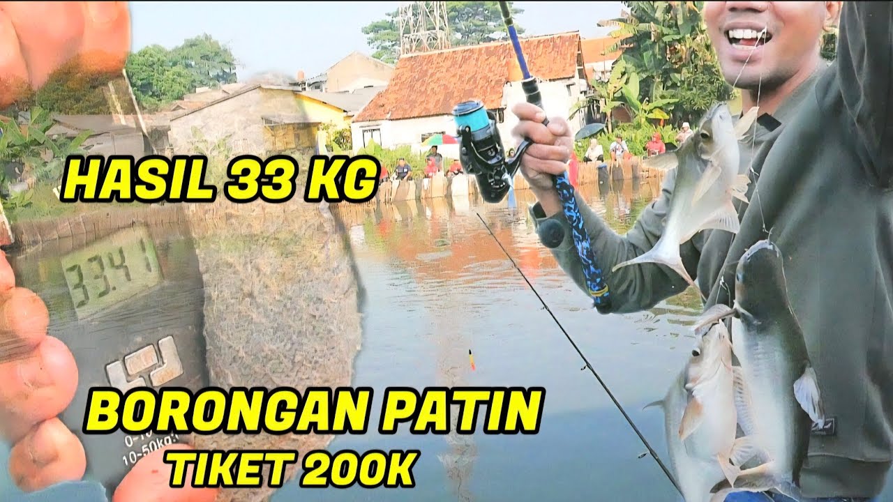 LAGIII....‼️ BORONGAN PATIN TIKET 200K HASIL 33 KG,,,‼️ MANCING BORONGAN PATIN