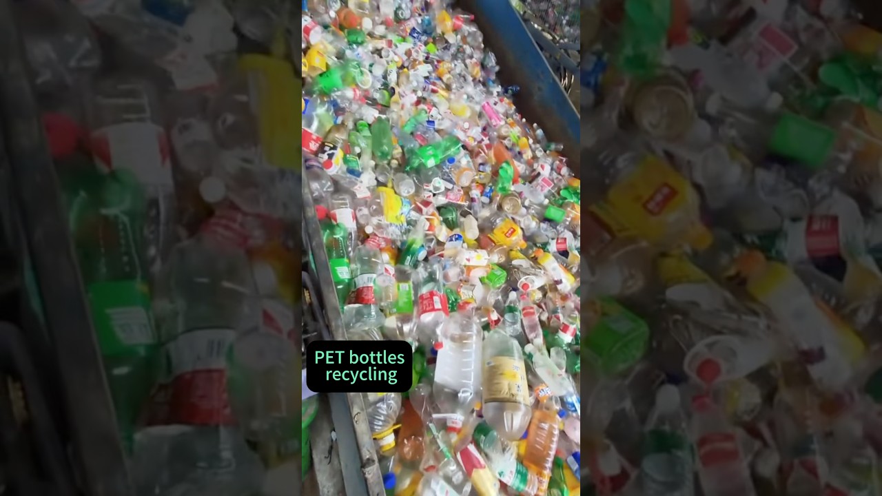 #plastic bottle recycling #PET bottles recycle machine #PET bottles recycling business