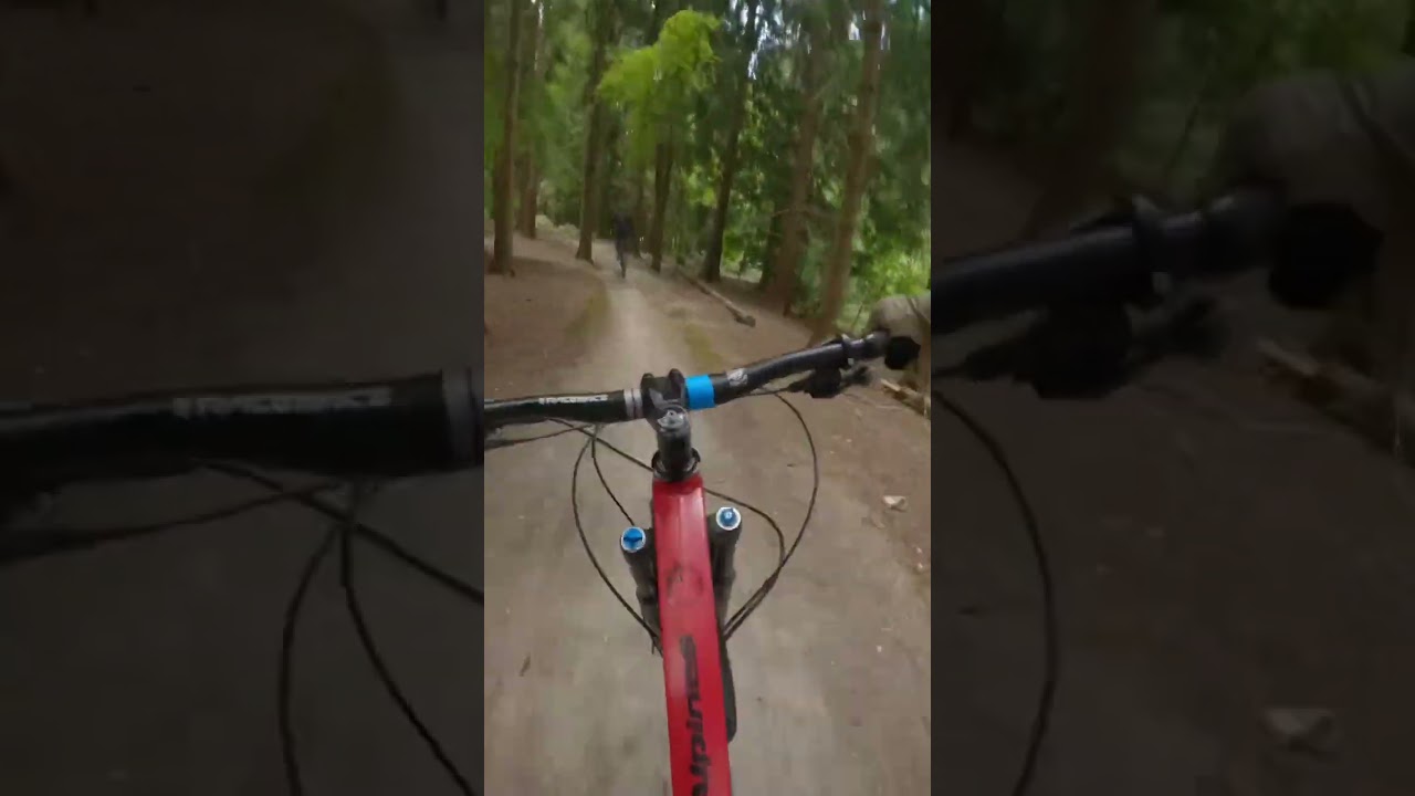 Tidworth Freeride B1kepark MTB DH - Orange Alpine 6