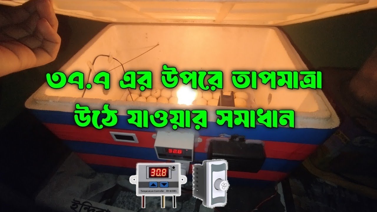 ইনকিউবেটরে 37.7 এর উপরে উঠে যাওয়ার কারণ ও সমাধান । শতভাগ বাচ্চা পাবেন ইনশাল্লাহ 🥰