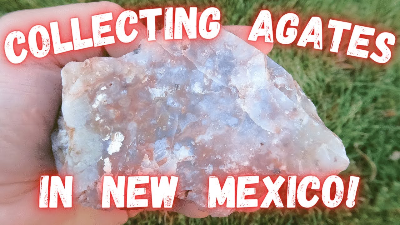 Hunting for Agates in New Mexico!