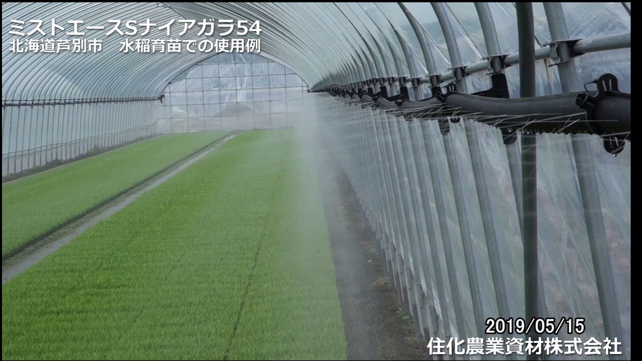 ミストエースSナイアガラ54（水稲育苗） 住化農業資材㈱