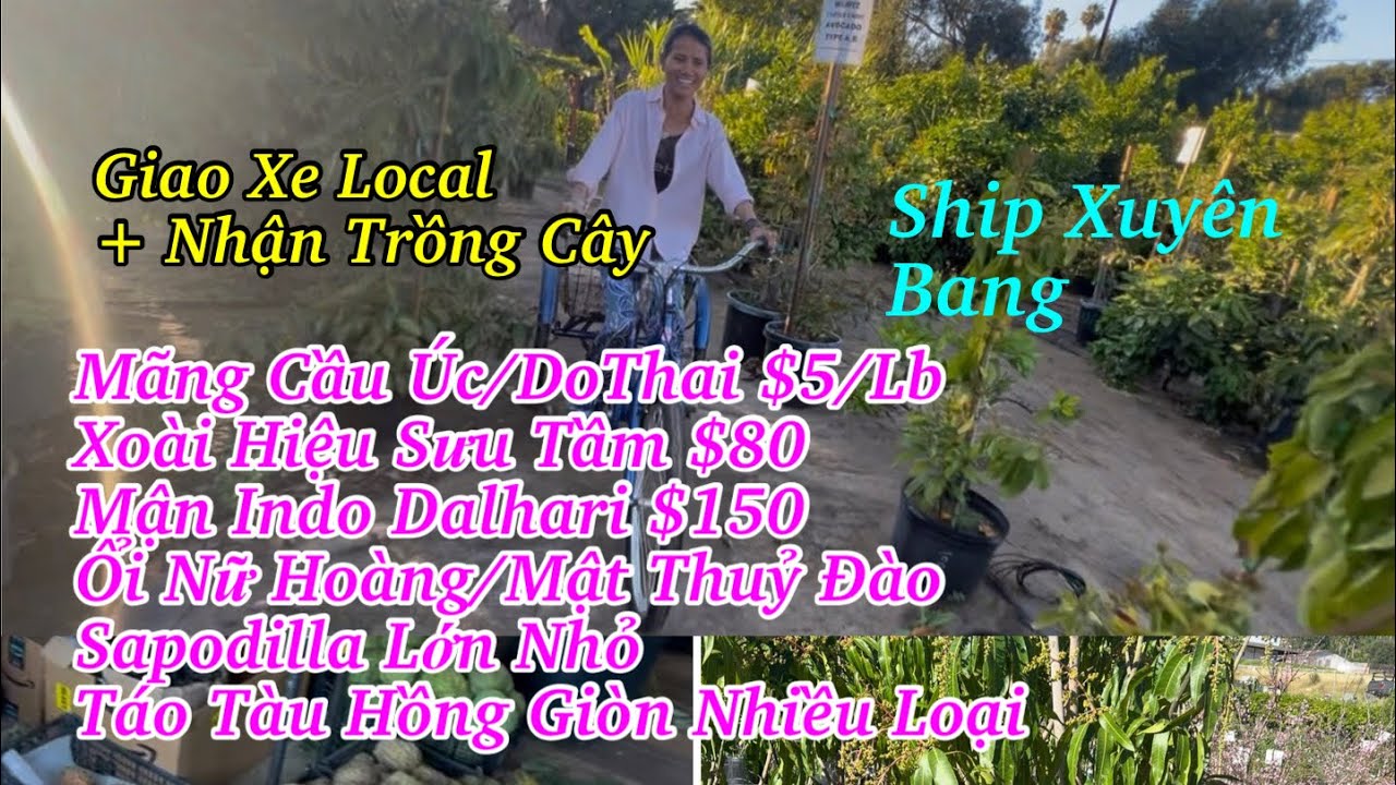 Chị Út Vừa Nhiều Mặt Hàng Mới - Đẹp Độc Lạ Giá  Rất Phải Chăng