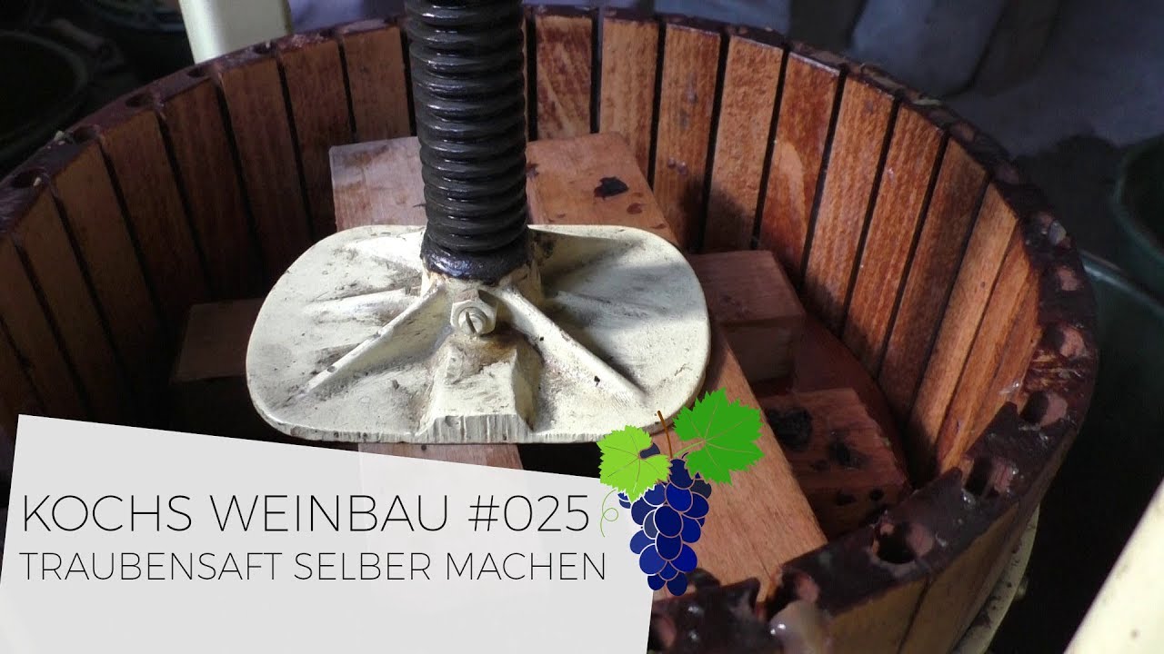 Traubensaft selber machen | #025