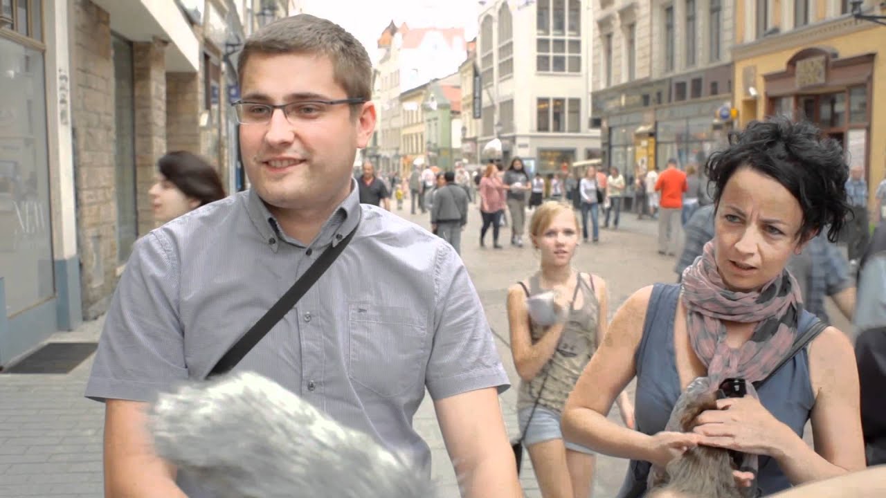 Udar Mózgu Sonda Uliczna - TORUŃ