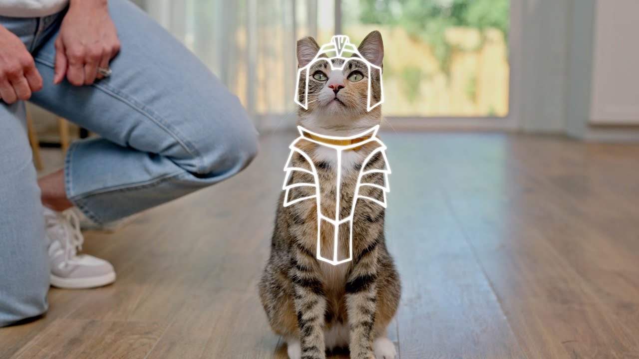 PetArmor&copy; - Protect & Save - Cat 15 Sec
