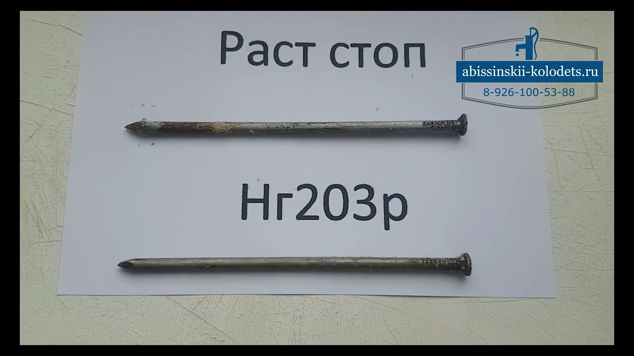 сравнение раст стоп и нг 203р