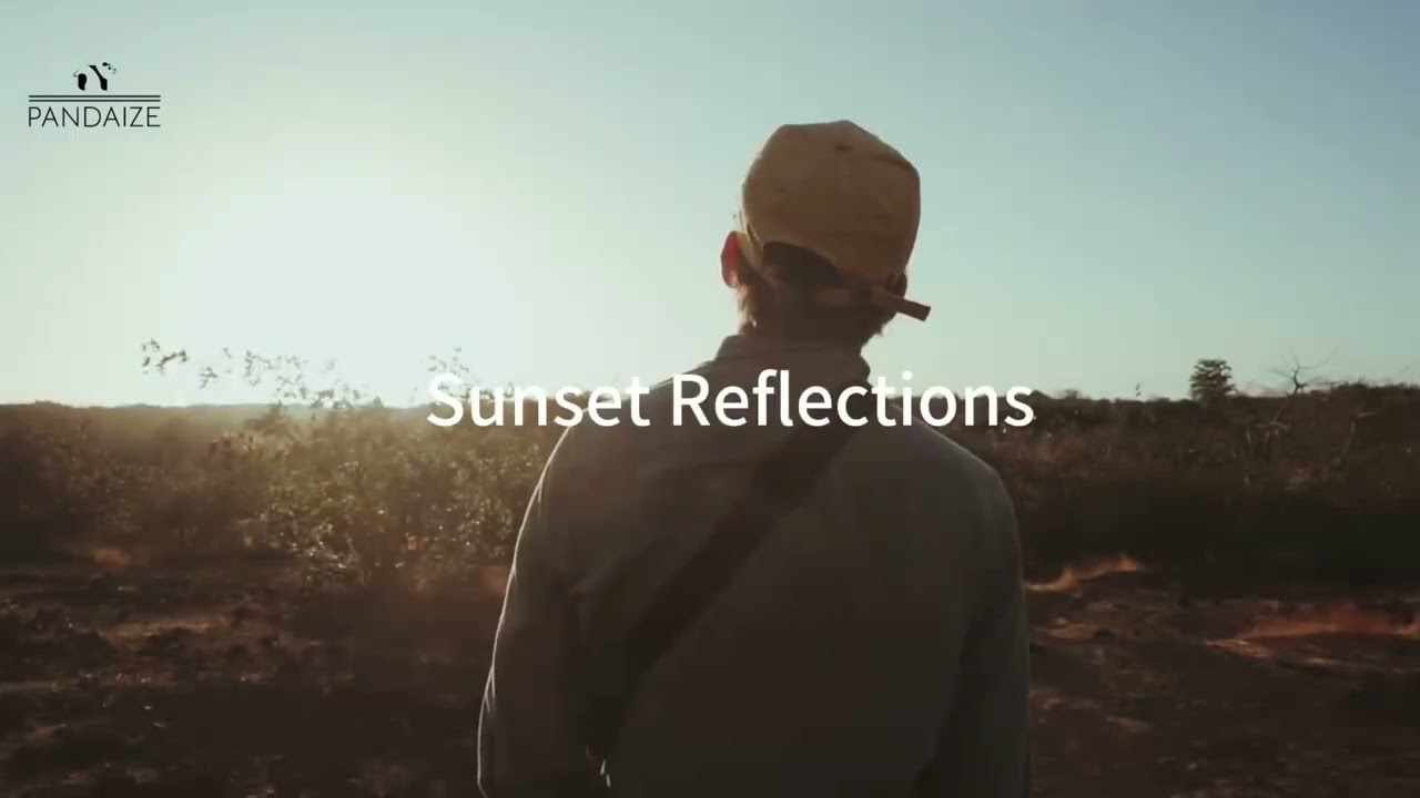 Pandaize &ndash; Redefining Style with Trendy Hats & Apparel