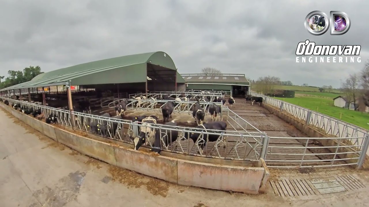 Head Locking Feed Barriers