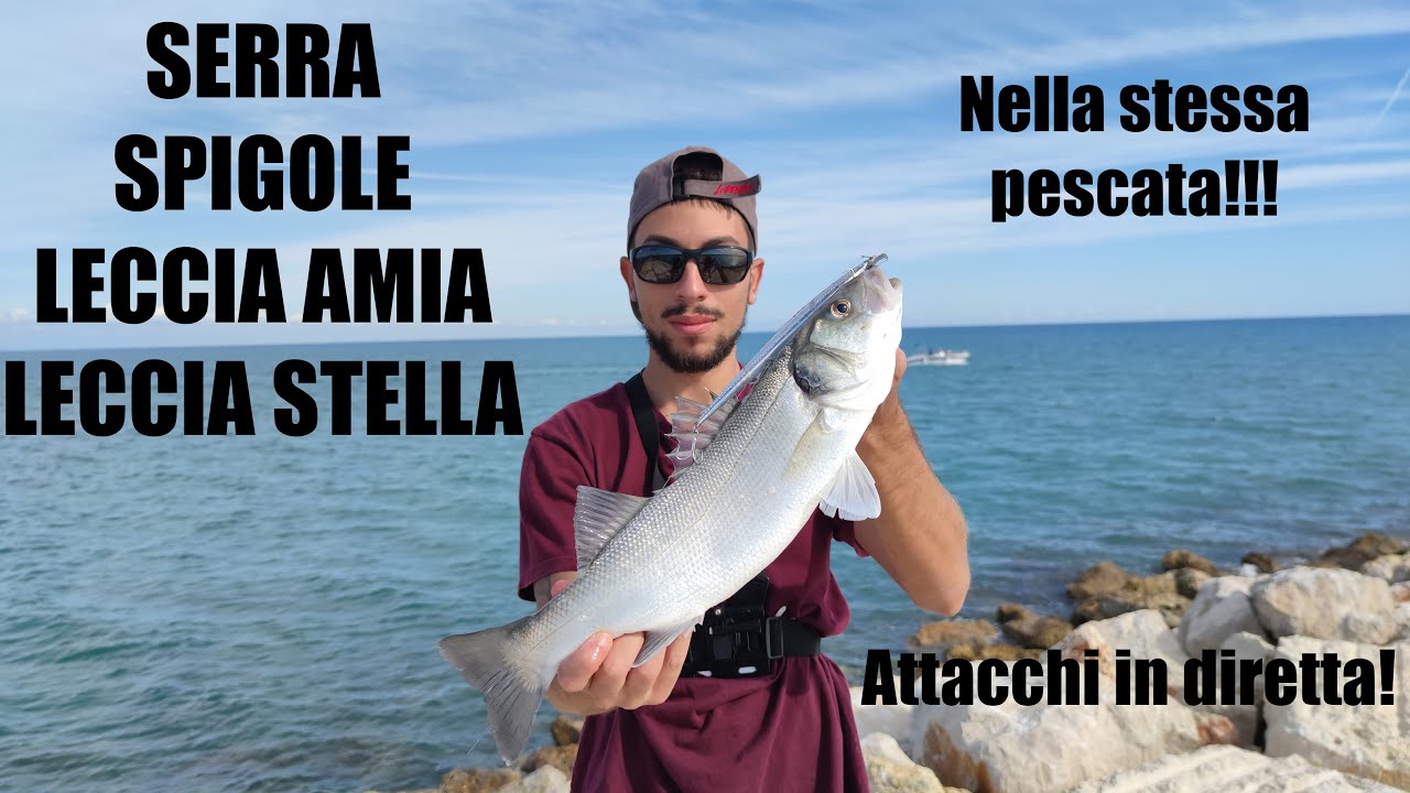 SERRA, SPIGOLE, LECCIA AMIA, LECCIA STELLA tutti nella stessa pescata! SPINNING e adrenalina!!!