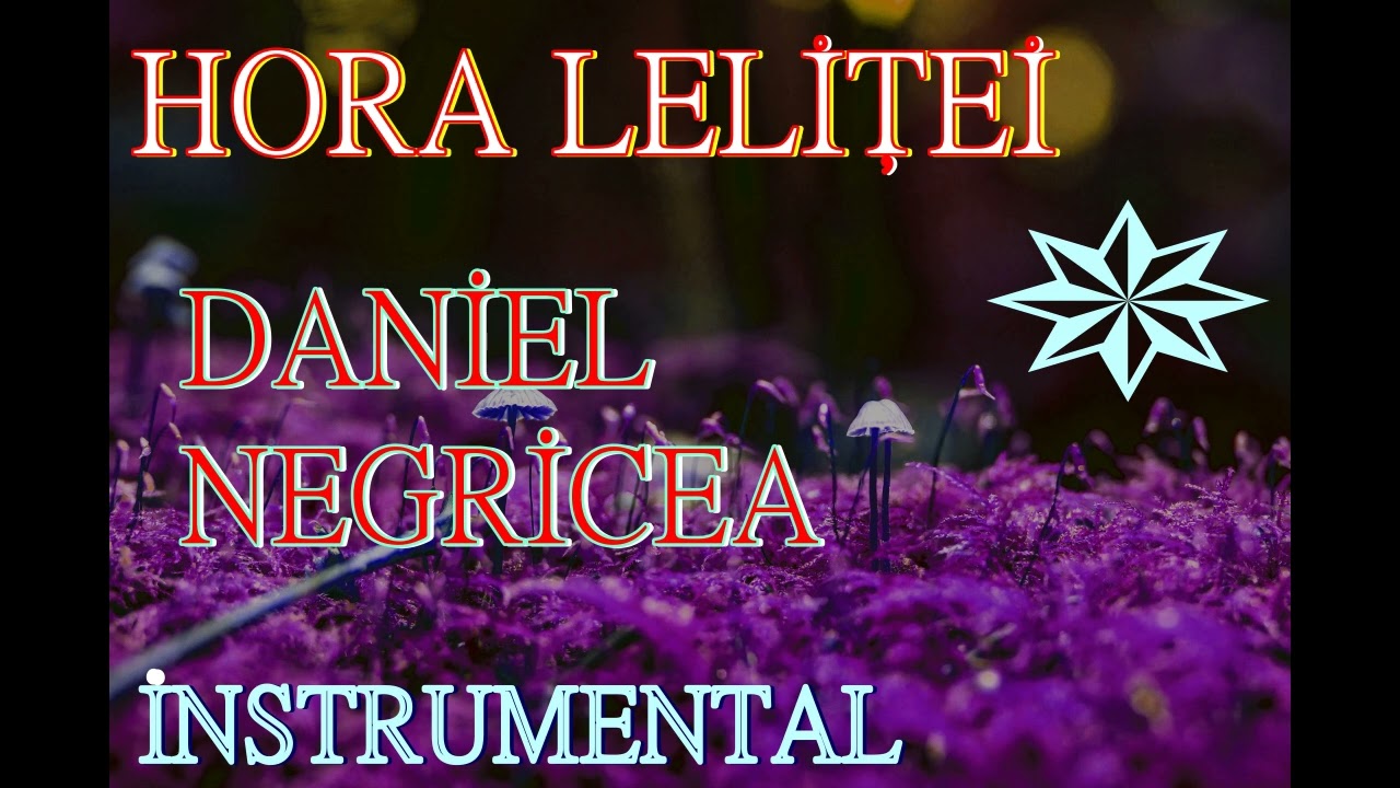 █▬█ █ ▀█▀  2023 HORA LELITEI .DANIEL NEGRICEA [ DOMN PROFESOR DANCIU ]