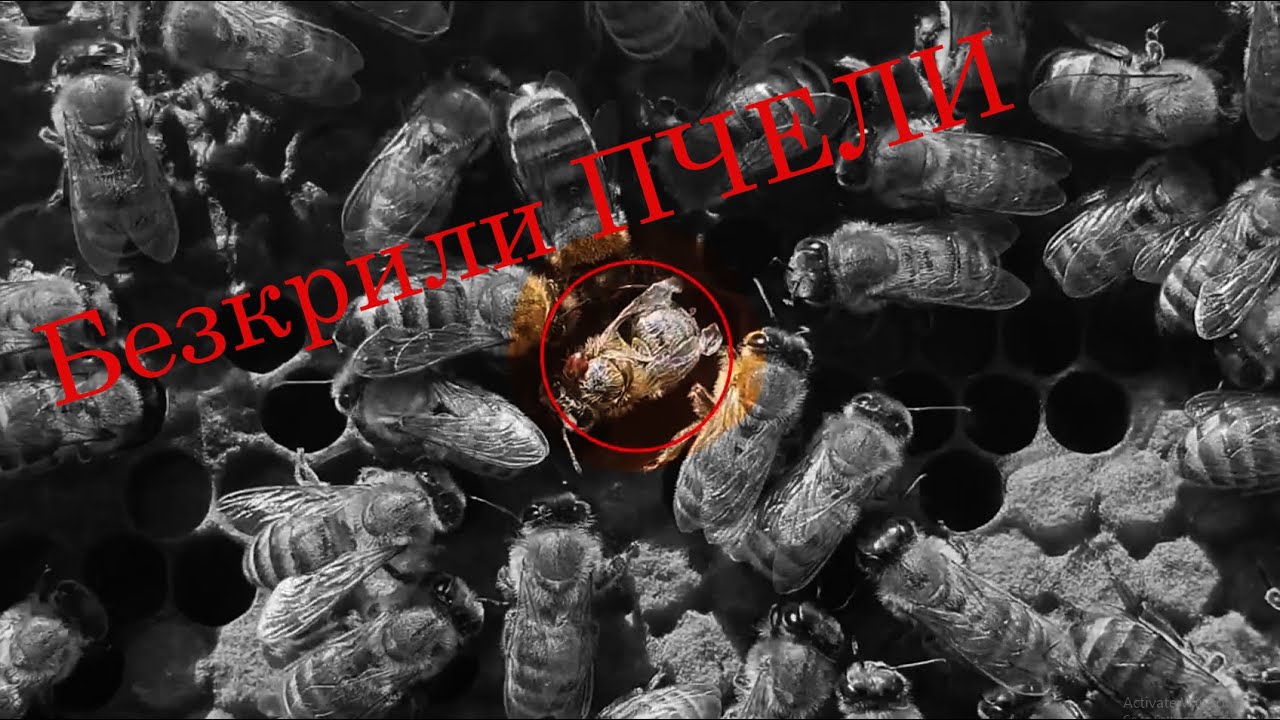 Работата не е добре. Третиране с ОК.