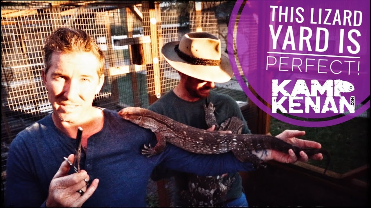 Tour this PRO Lizard Habitat Setup!