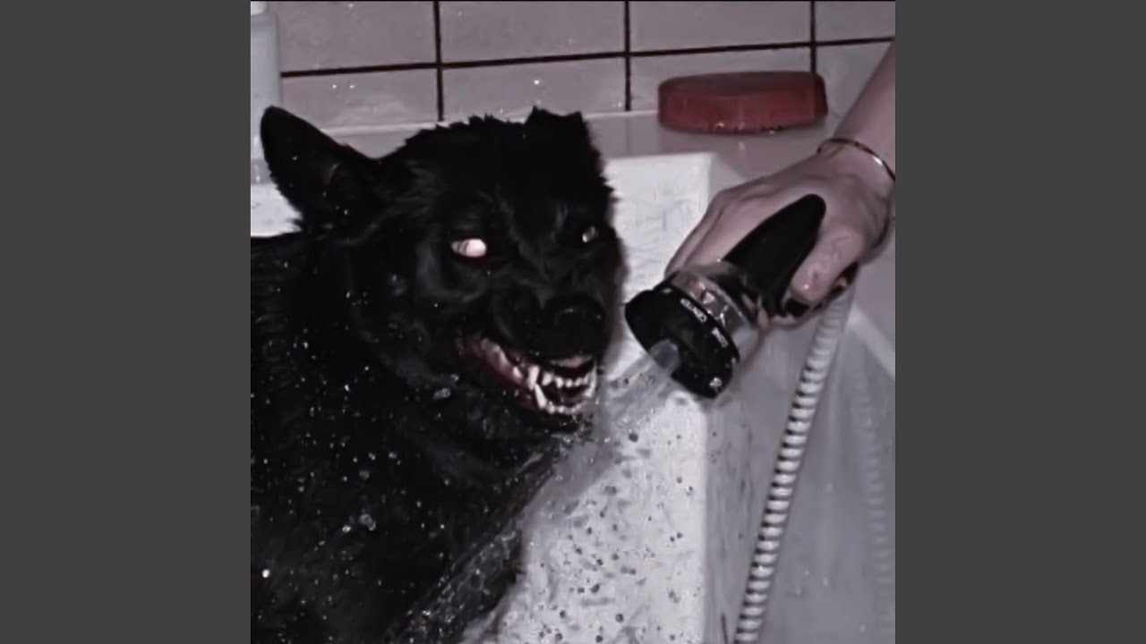 I Watched the Streetlights Fade Before You Said Goodbye