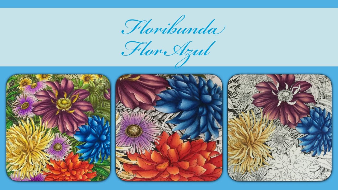 Floribunda - Flor Azul (Blue Flower)