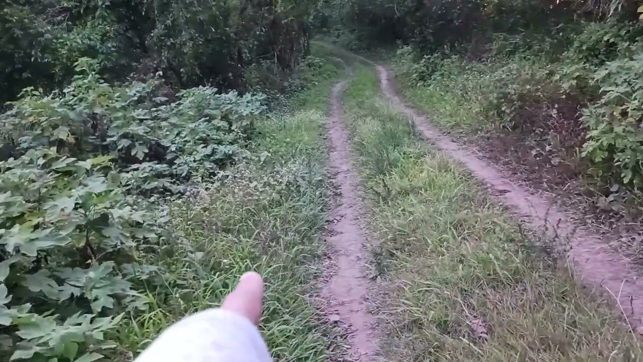 masukal na gubat sa tagaytay 
