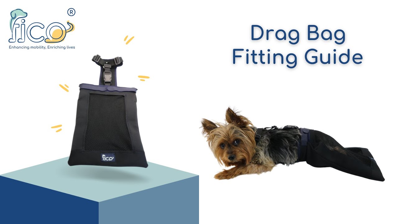 How to Fit the Fico Drag Bag on Your Dog | Step-by-Step Tutorial