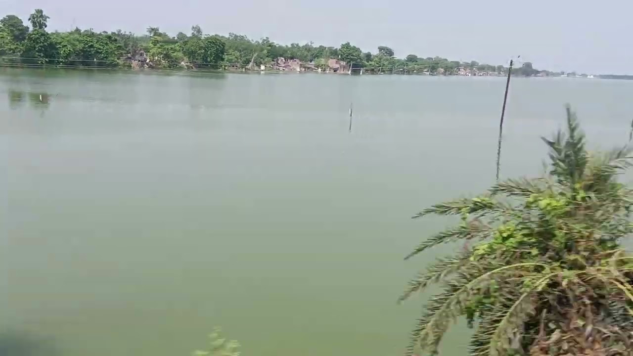Flood of Bihar 2024