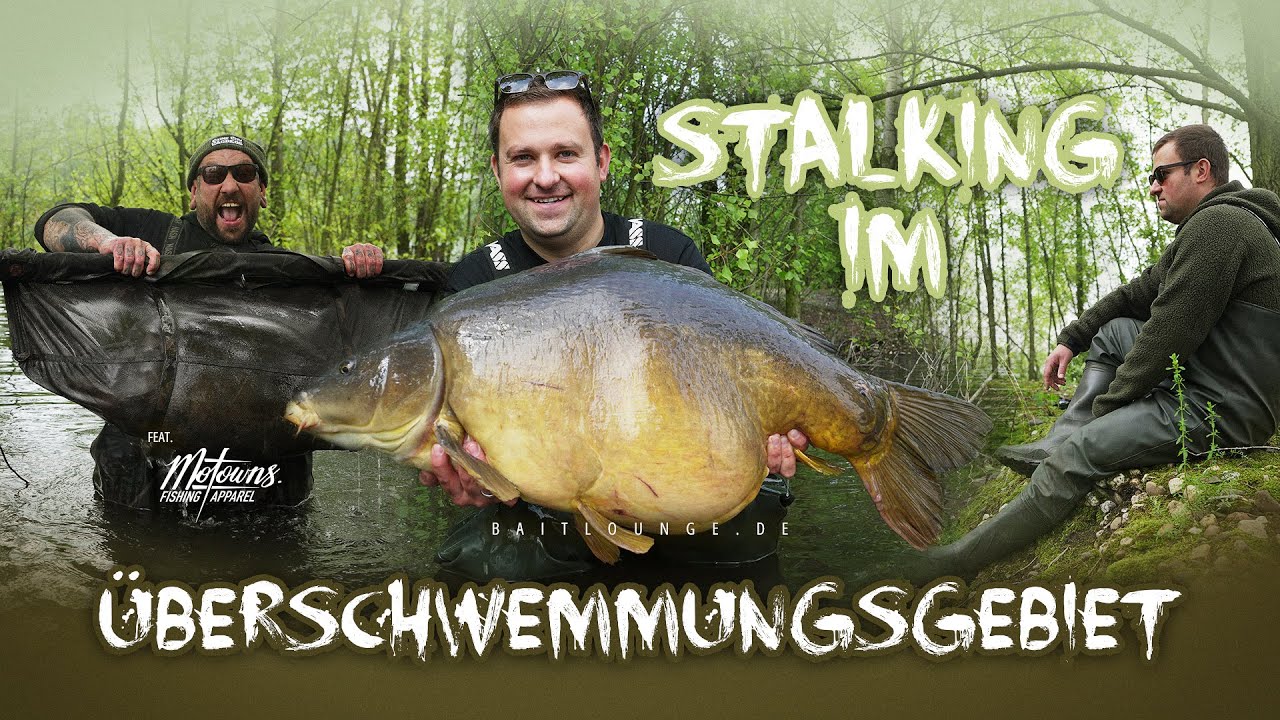 Stalking im Überschwemmungsgebiet, Karpfenangeln mit Marco Bettin und Ben Felber am Baggersee!