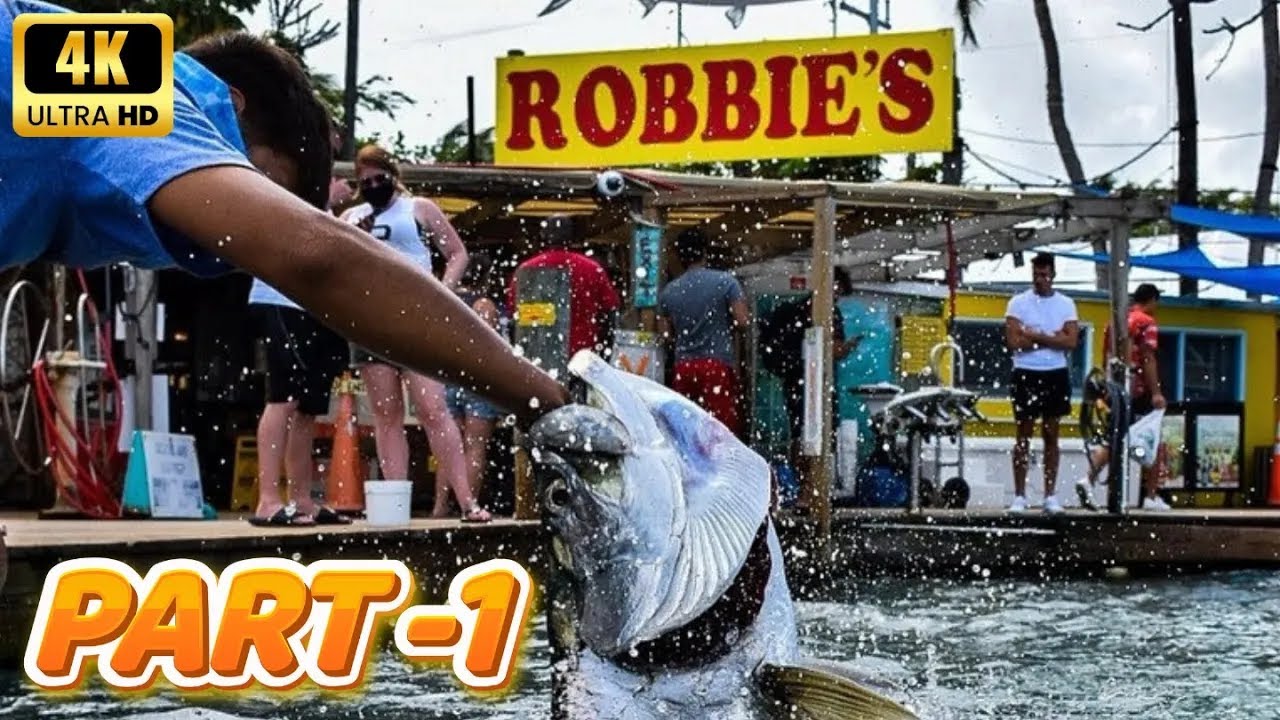 Why Robbie's Islamorada: Best Place to Feed Giant Tarpon in the Florida Keys | Family Hidden Gem