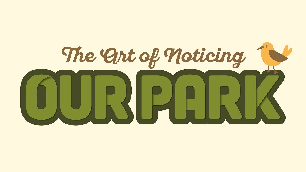 Our Park -Ep. 2: The Art of Noticing