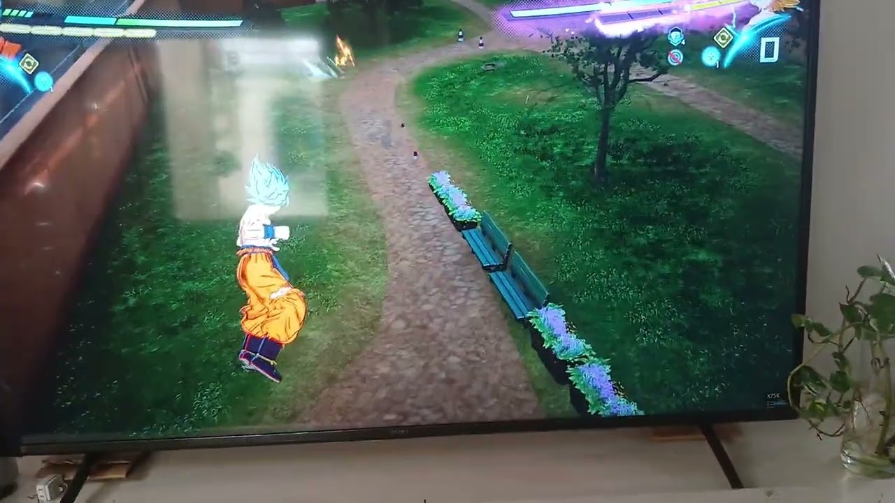 dragon ball sparking zero bug