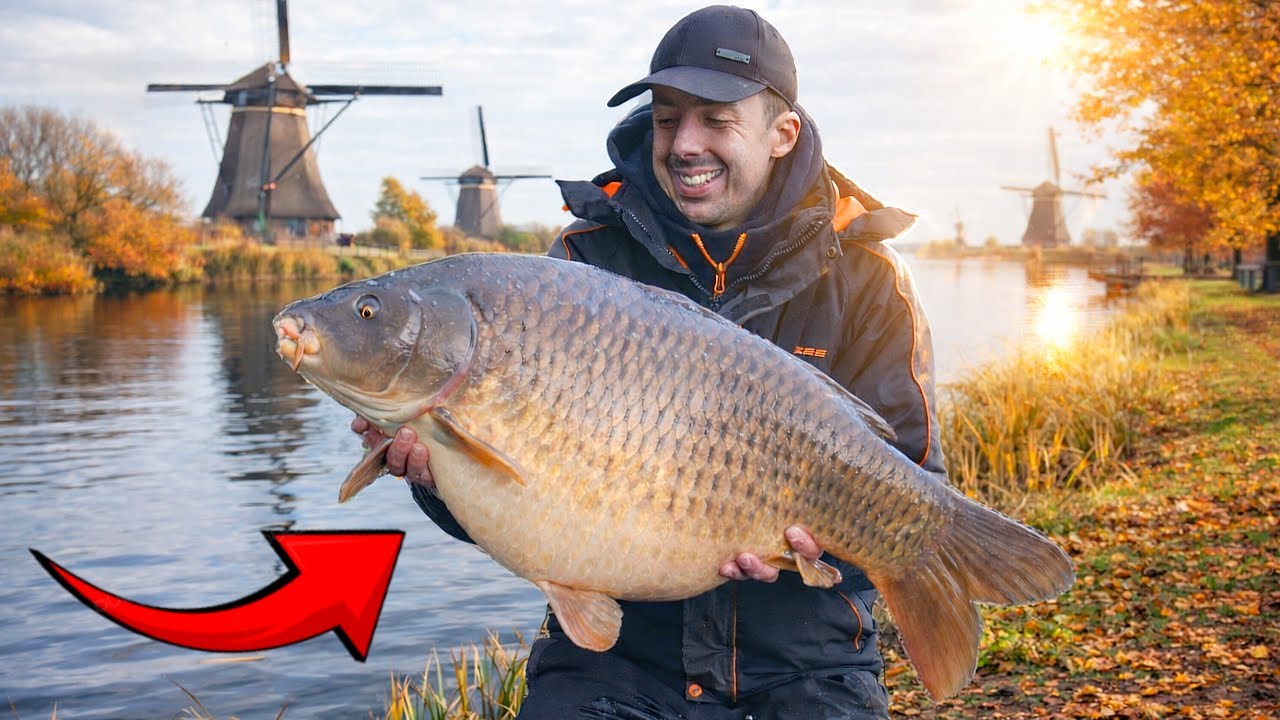 CATCHING HOLLAND&rsquo;S BIGGEST WILD CARP
