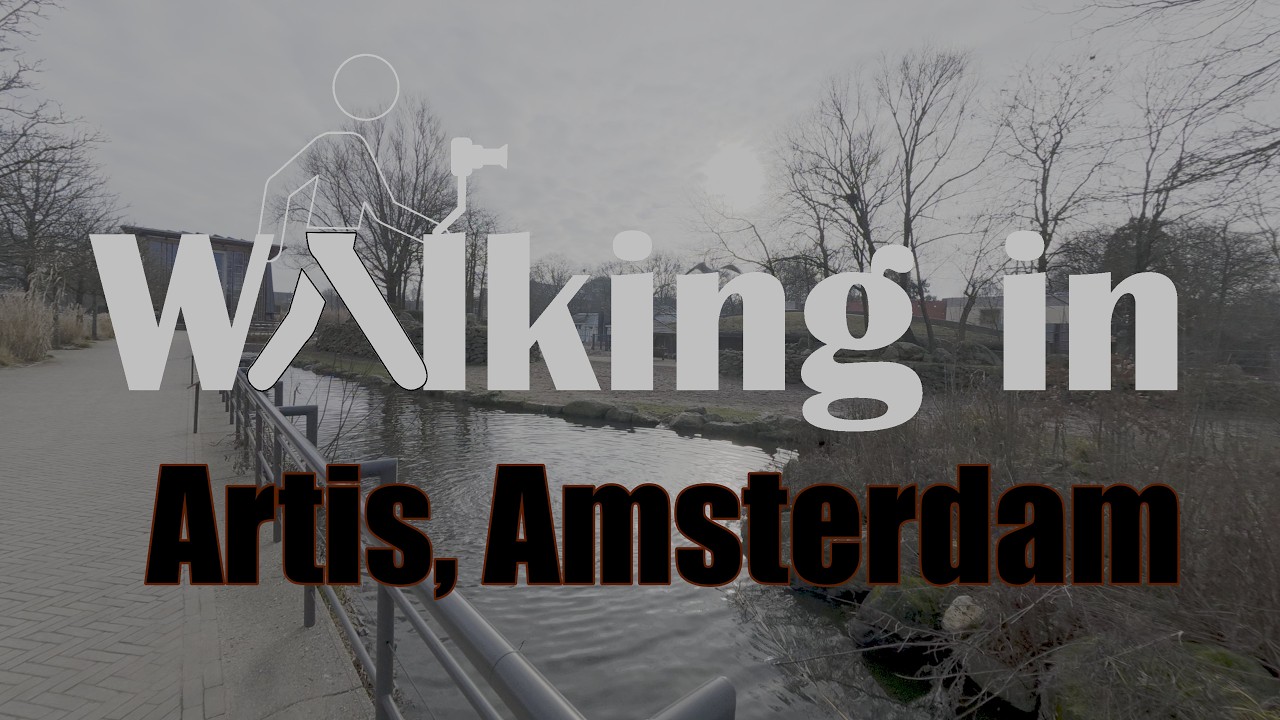 2026-01-23 Artis, Amsterdam