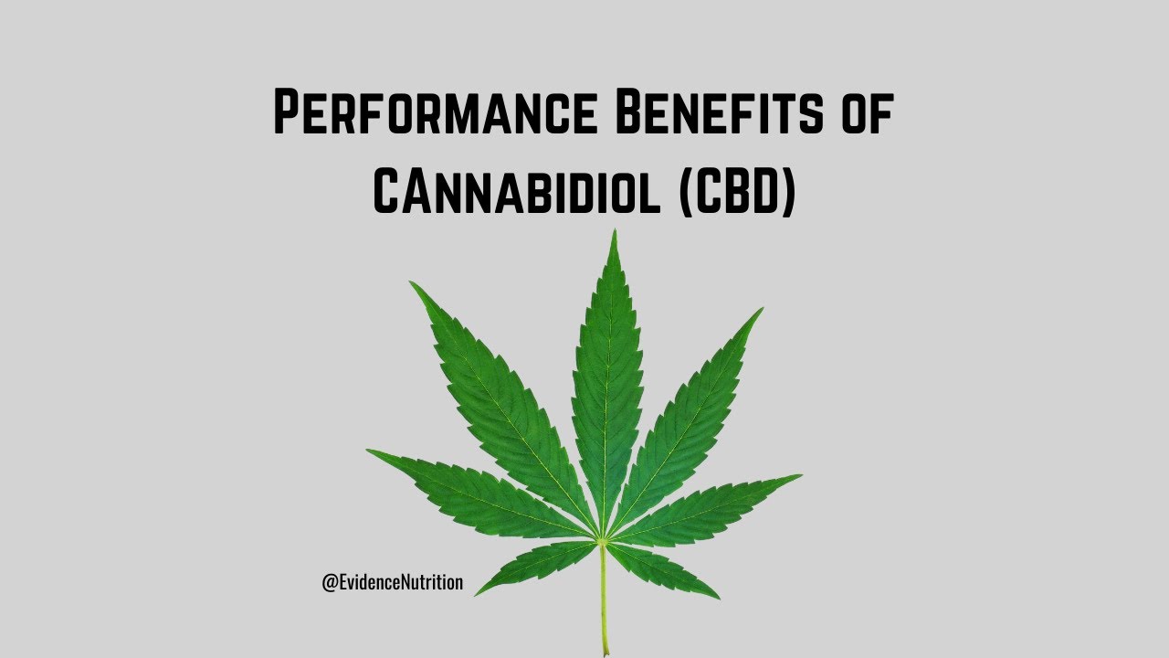 DOES CBD Provide Benefits for Sport/Recovery? (What the Supplement)