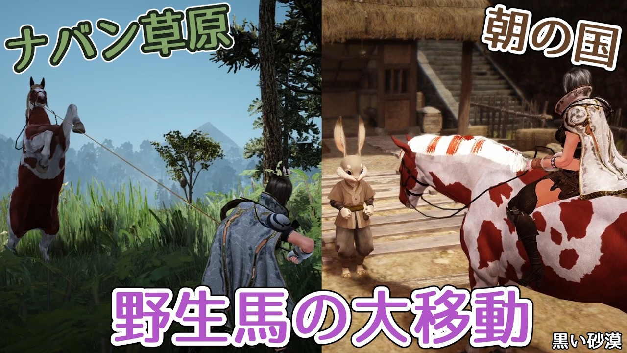 【黒い砂漠】ナバン草原で捕獲した馬を朝の国に連れて行って登録してみた【Lv67への旅part67】【ゆっくり実況】