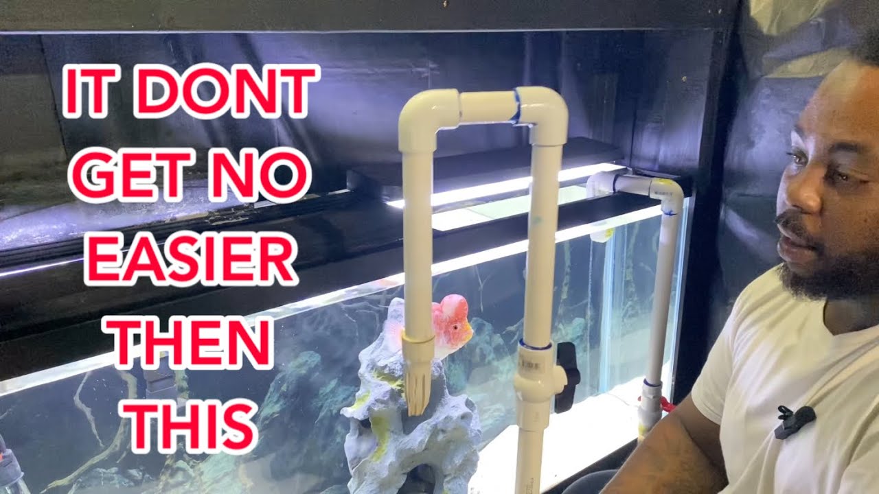 How to change water easy
