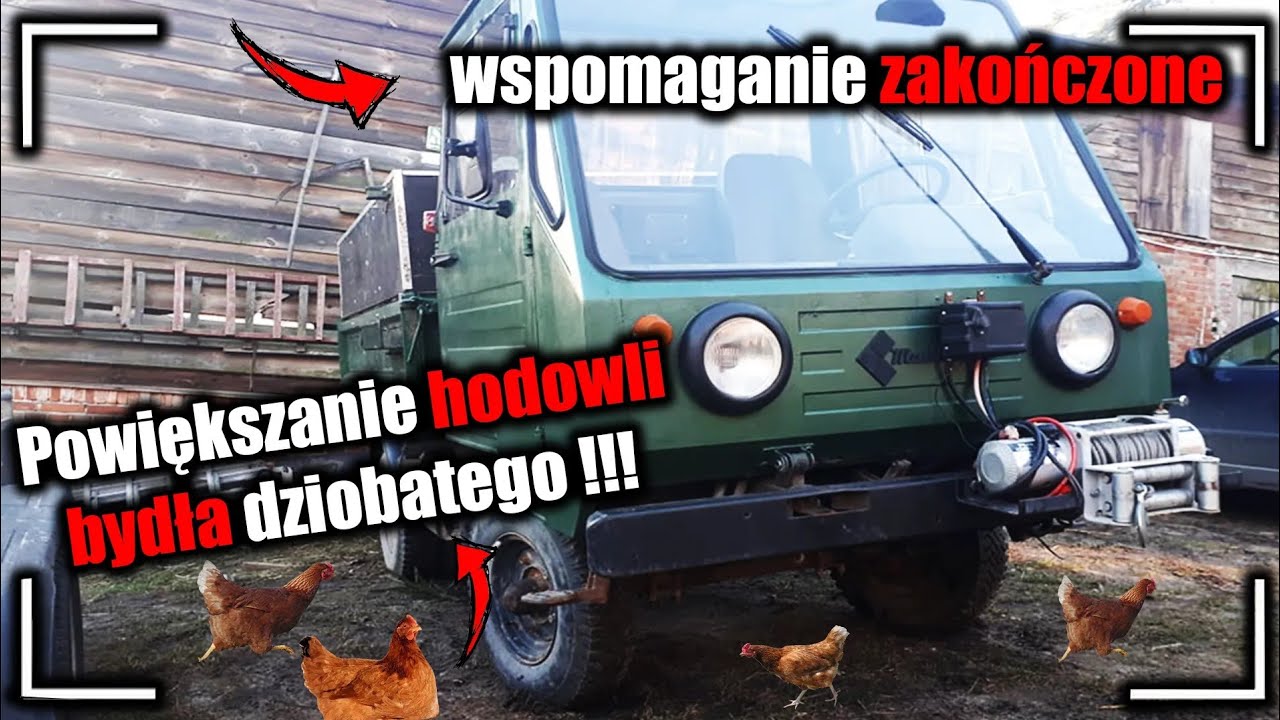 Wspomaganie Ukończone☆Powiększenie Stada Bydła Dziobatego☆