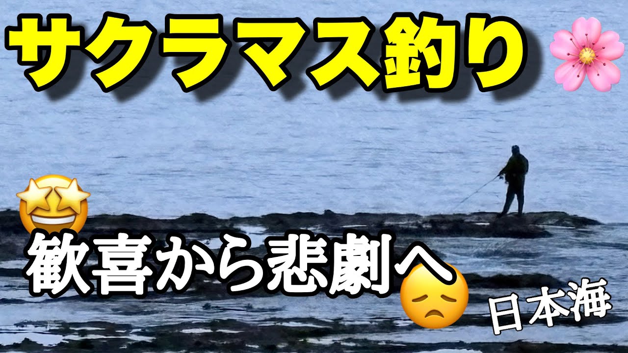 【サクラマス】初心者の自分が、奇跡の1匹を求めて日本海へ！歓喜から悲劇へ！