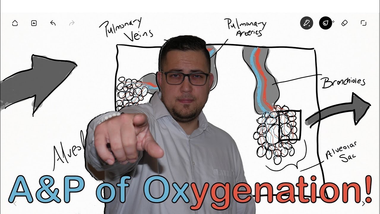 OXYGENATION & GAS EXCHANGE MADE EASY!