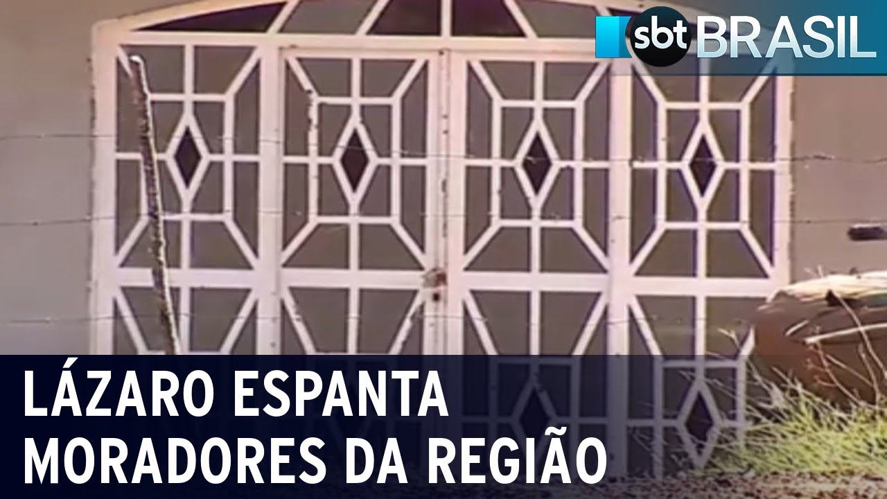 Moradores abandonam suas casas com medo de Lázaro Barbosa | SBT Brasil (19/06/21)