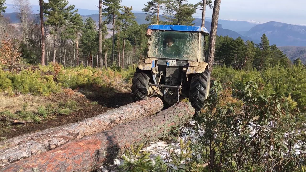 New Holland TT55 Ormanda Tomruk Taşırken Şahlandı