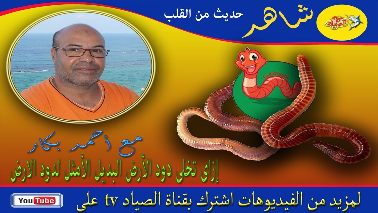 دود ارض بديل لدود الارض .. مش فزورة