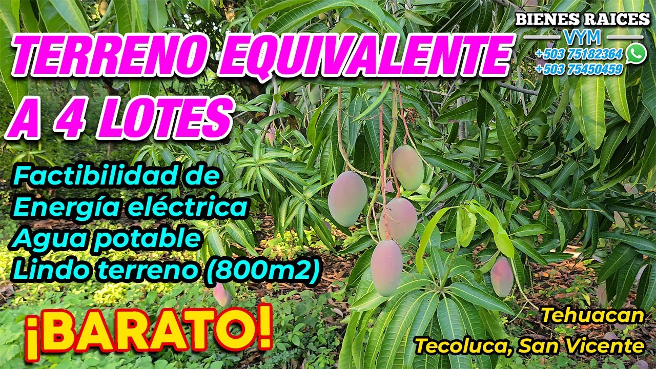 #94 ⛔️ VENDIDO TERRENO DE 800 m2 EQUIVALENTE A 4 LOTES DE 10X20 EN TECOLUCA, SAN VICENTE