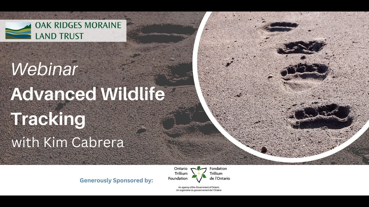 Advanced Wildlife Tracking with Kim Cabrera
