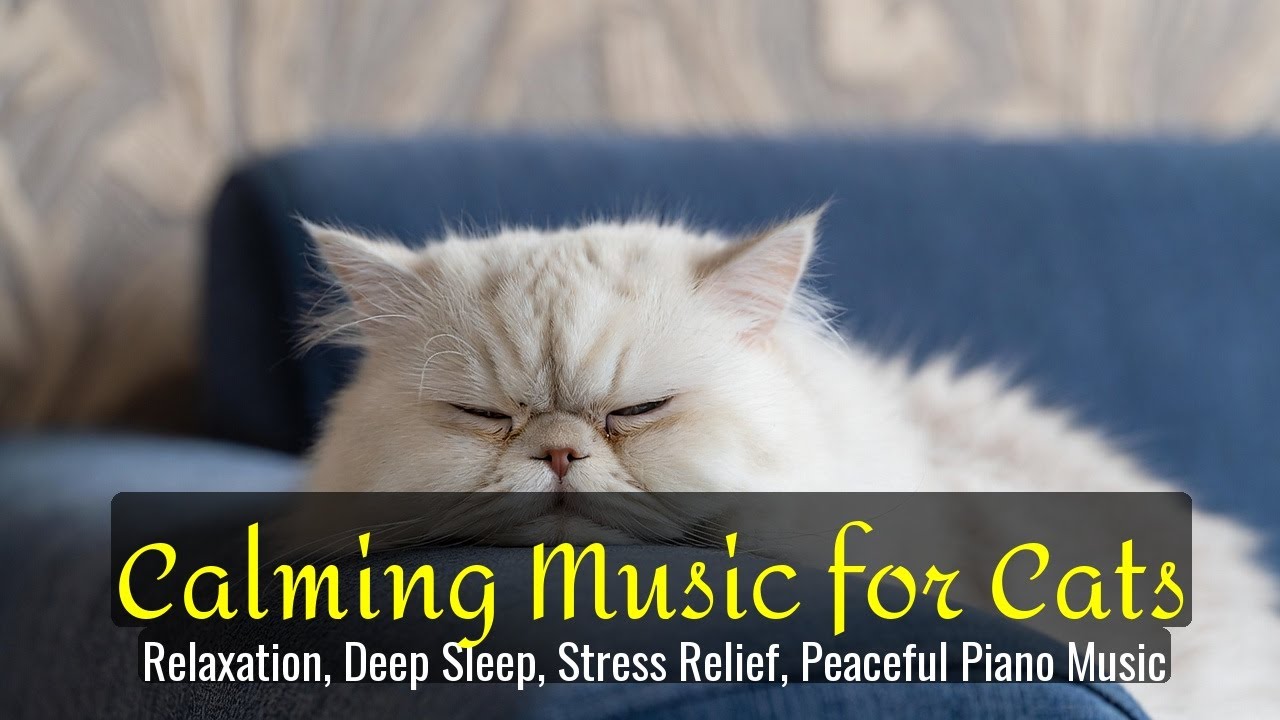 Calming Music for Cats - Relaxation, Deep Sleep, Stress Relief, Peaceful Piano Music | Season 40