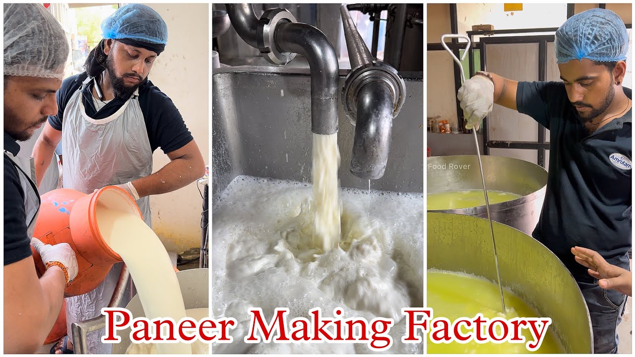 Factory Level Paneer Making 😱 | Full Making Process | Daily 6000 KG Paneer Production | Vadodra |