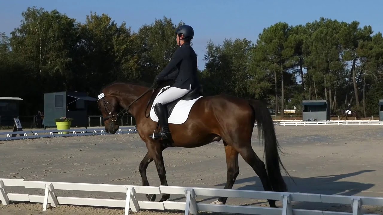 REPRISE DE DRESSAGE | Reprise Cycle Libre 2 : Commentées par Isabelle Judet – Juge 5* Internationale