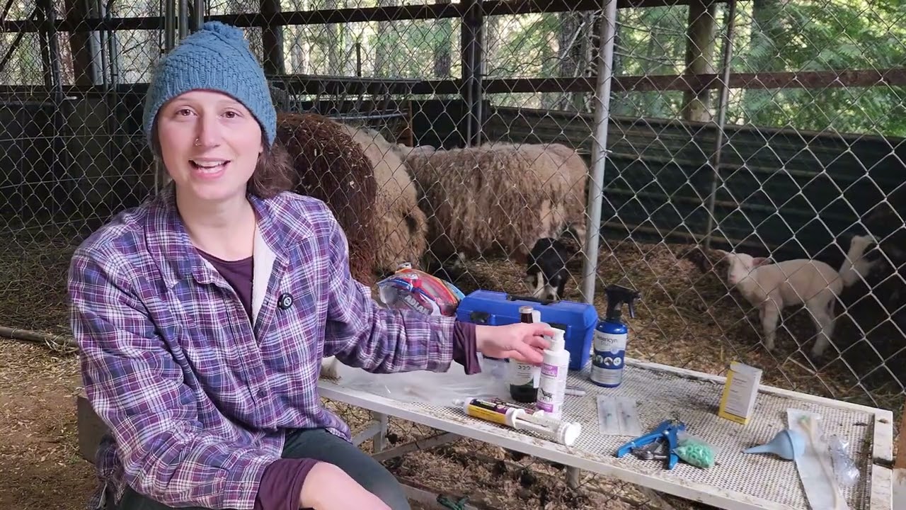 Lambing Season! What's in Our Lambing Kit?