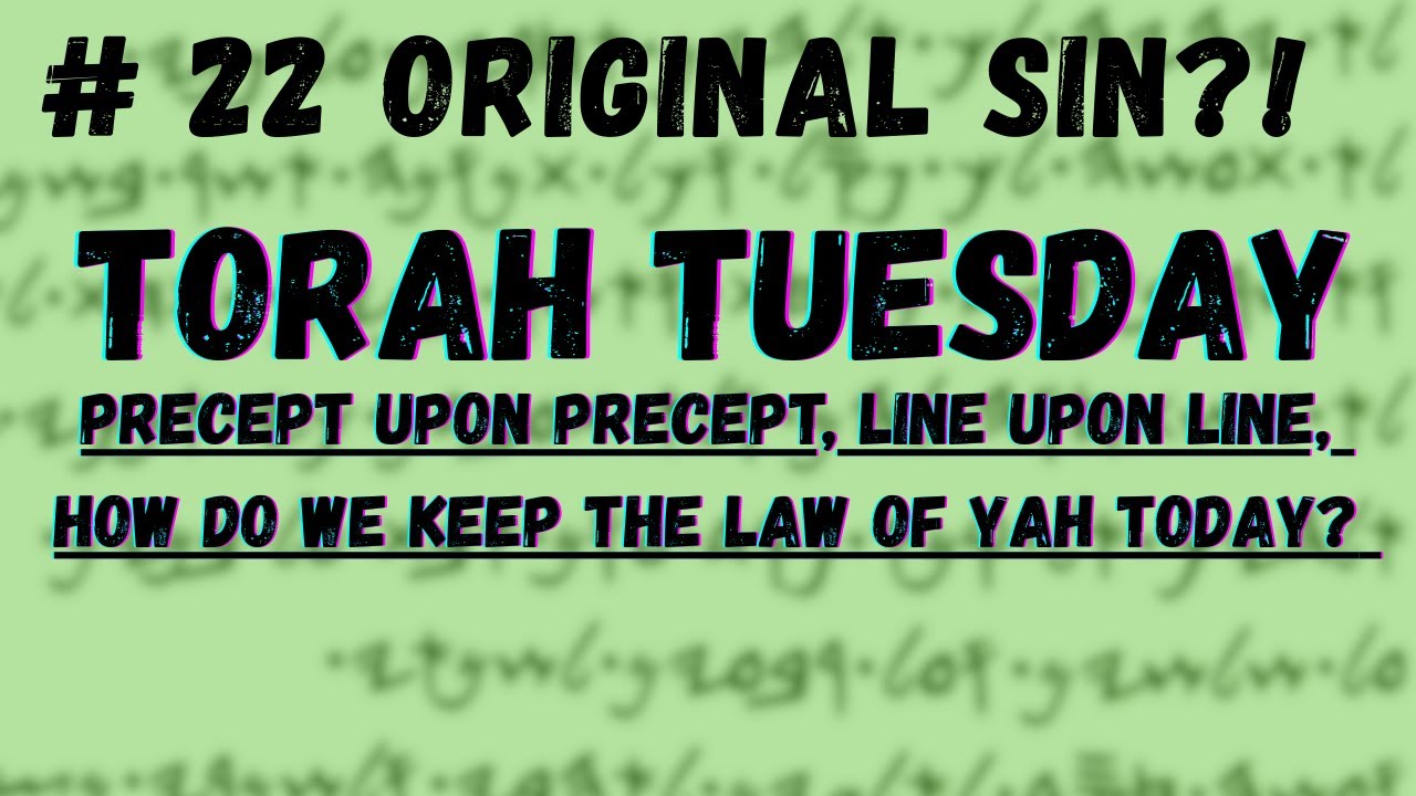 Torah Tuesday #22 Original Sin, Birthing, Virgin Birth, Death (Leviticus 12)