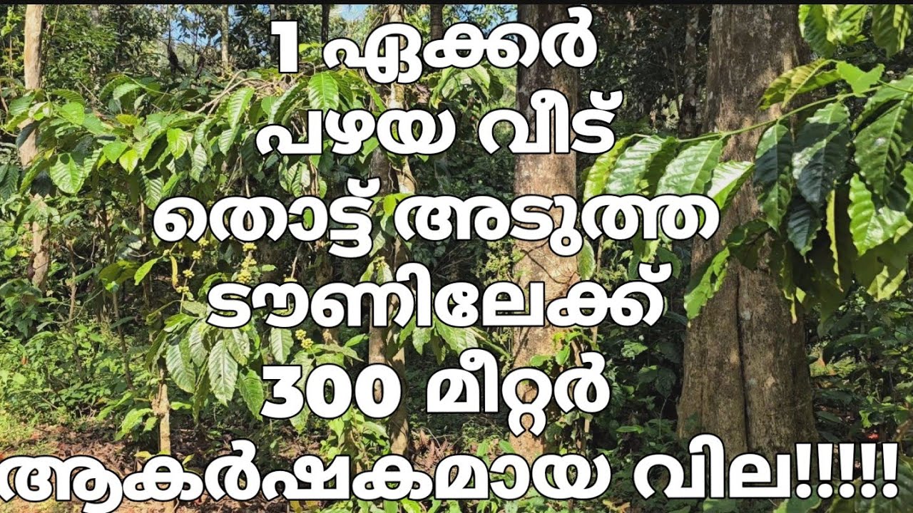 1 acre with old house for sale in wayanad